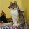 Отзыв от Наталья Сорокина